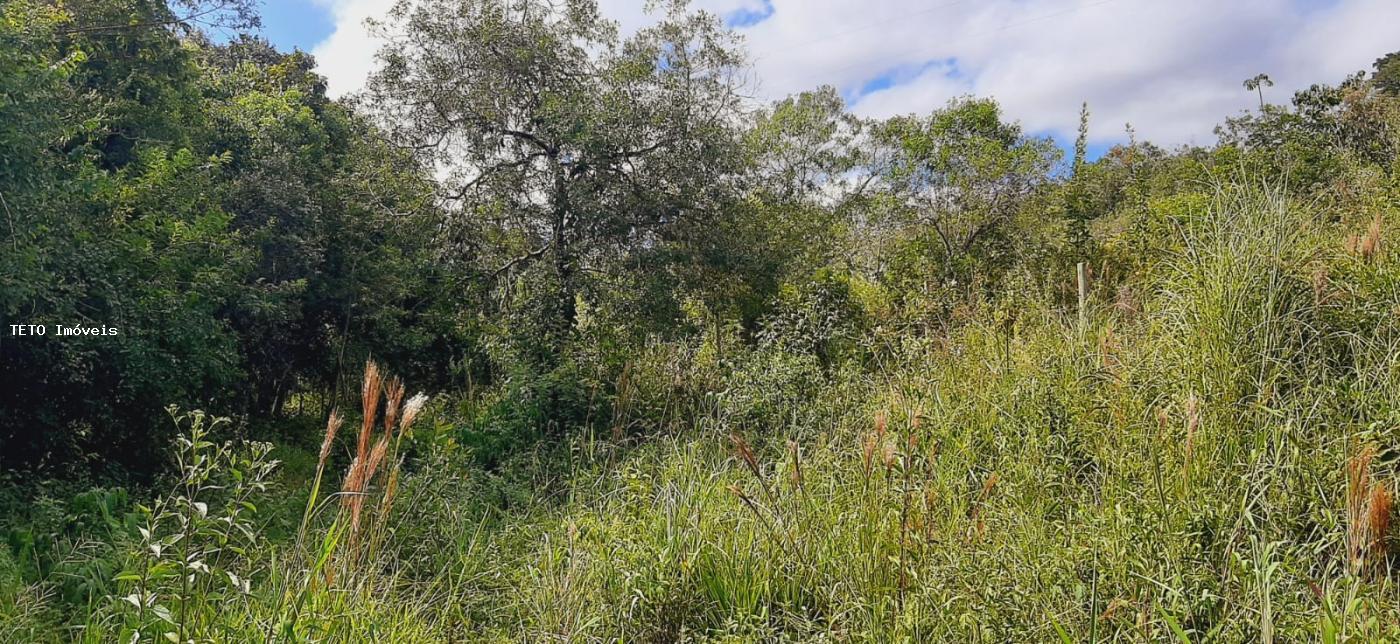 Terreno à venda, 3000m² - Foto 11