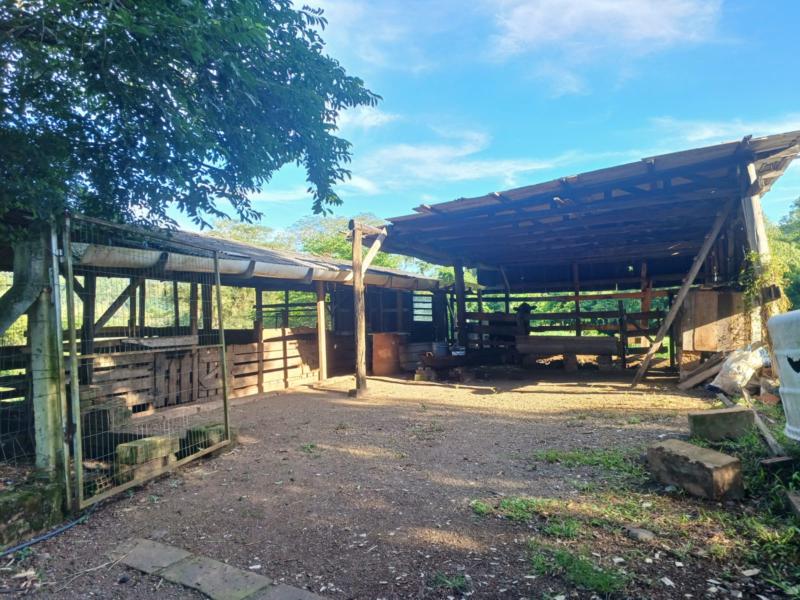 Sítio à venda com 1 quarto, 150m² - Foto 28