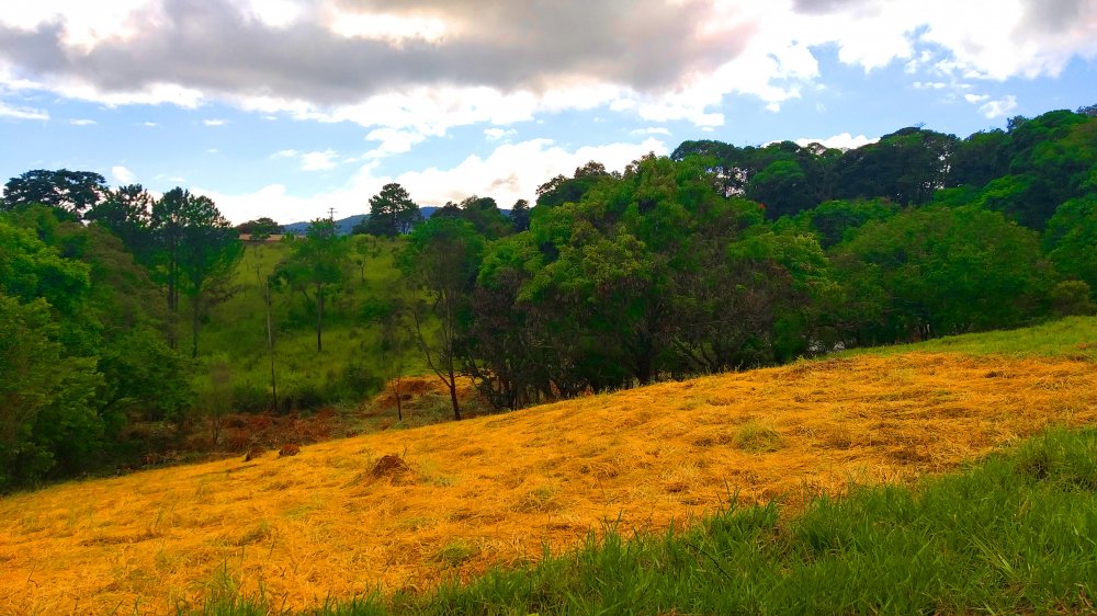 Terreno à venda, 1300m² - Foto 22