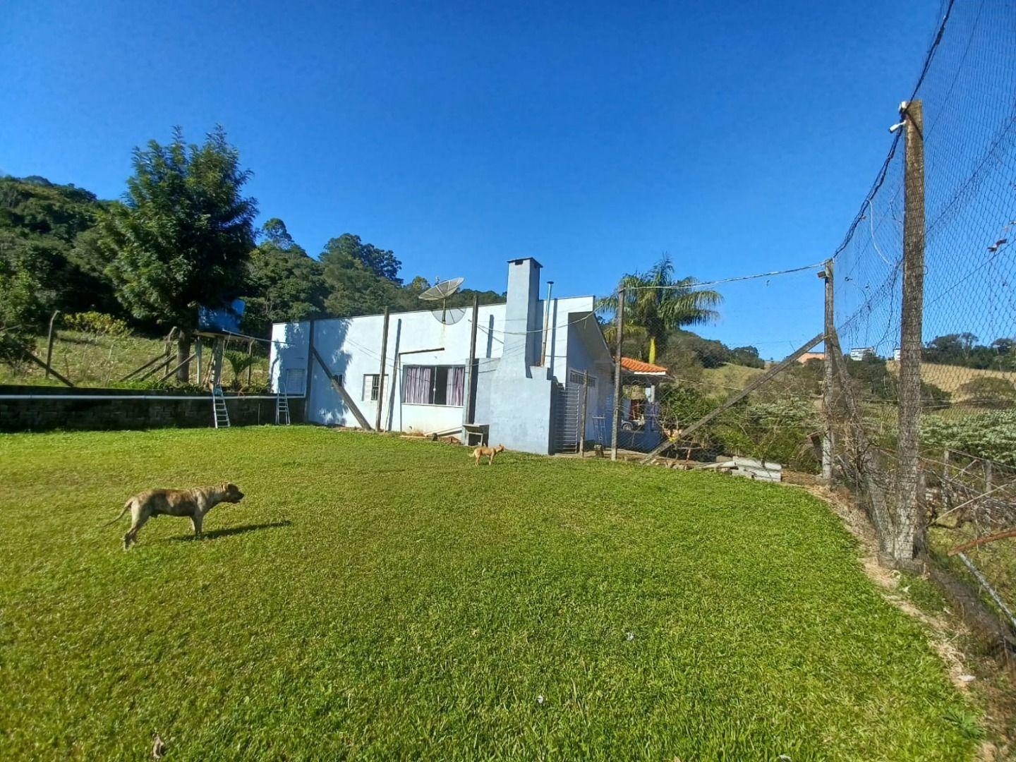 Fazenda à venda com 3 quartos, 6500m² - Foto 8