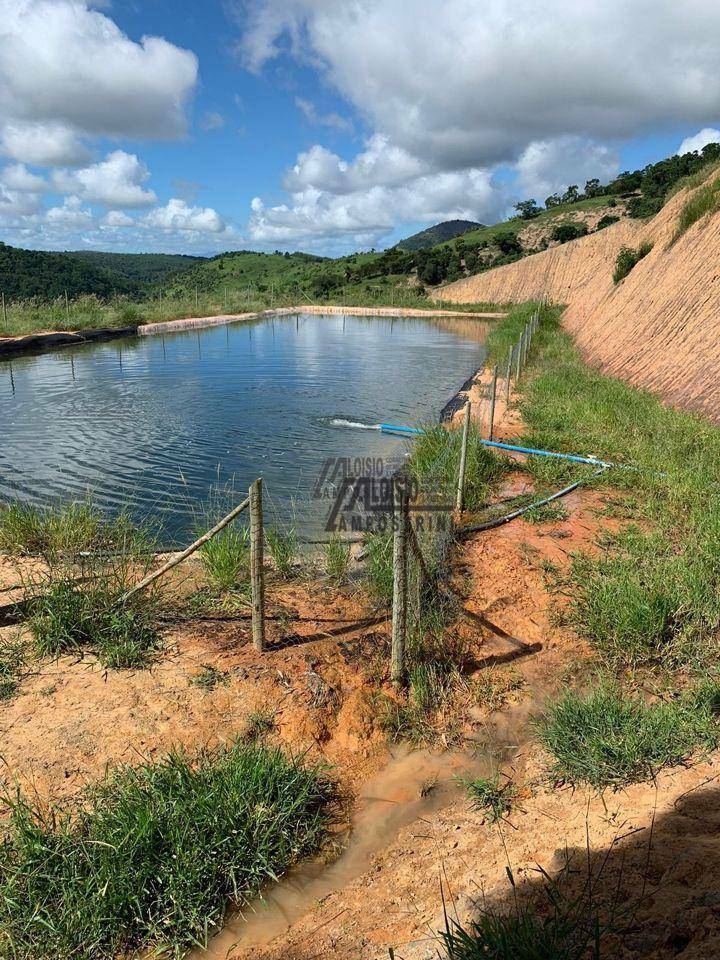 Fazenda à venda, 2420000M2 - Foto 6