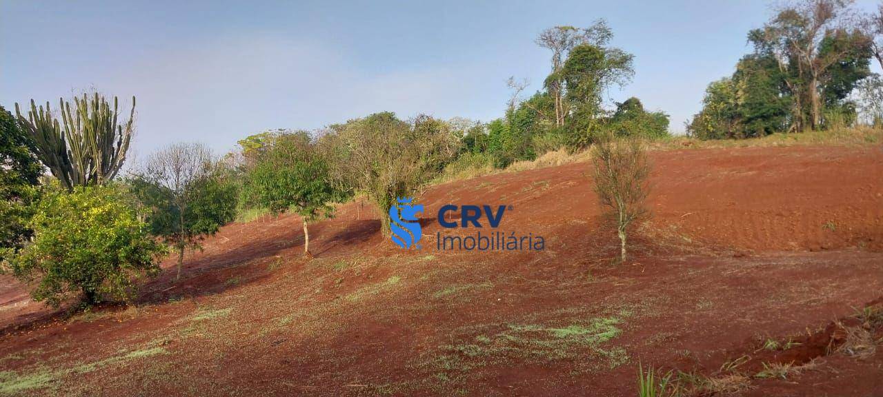 Sítio, 3 hectares - Foto 11