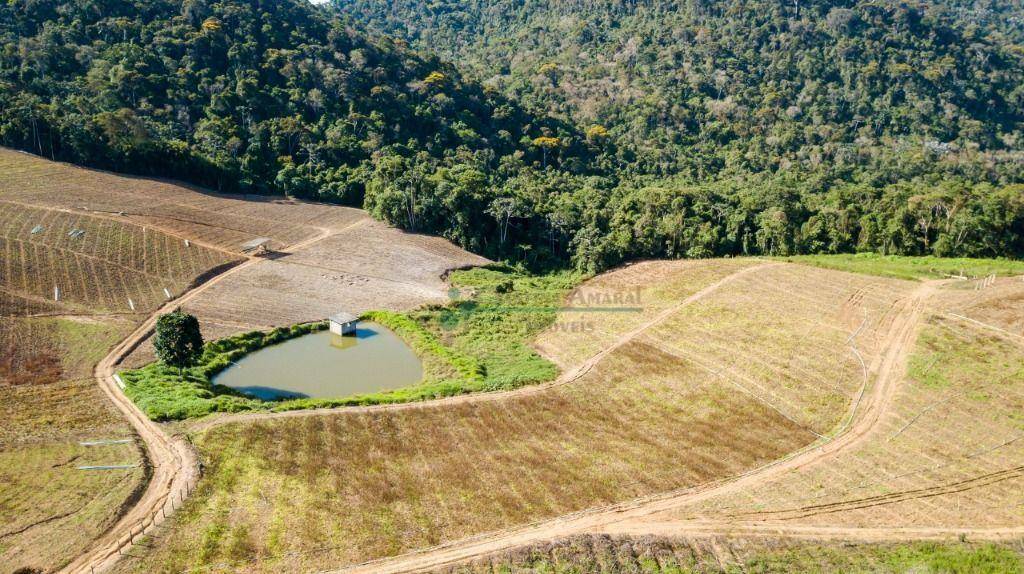 Fazenda à venda com 3 quartos, 120m² - Foto 31