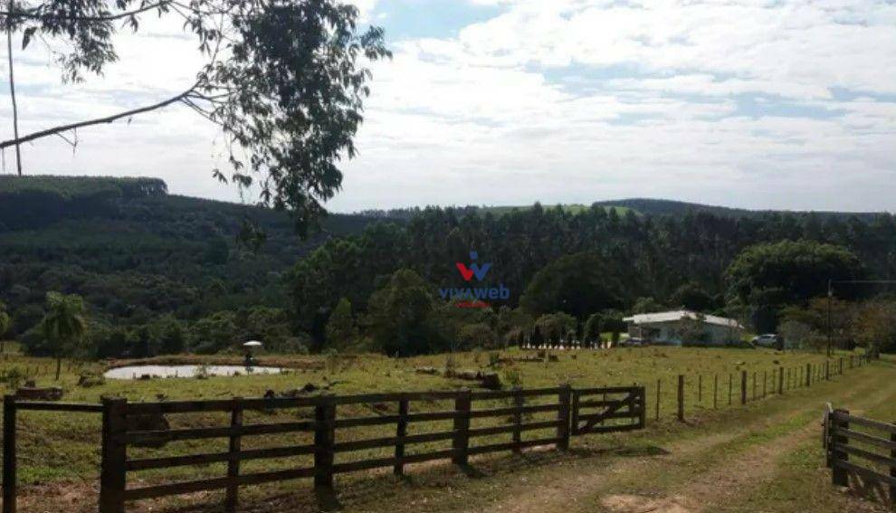 Fazenda à venda com 3 quartos, 1116000M2 - Foto 9