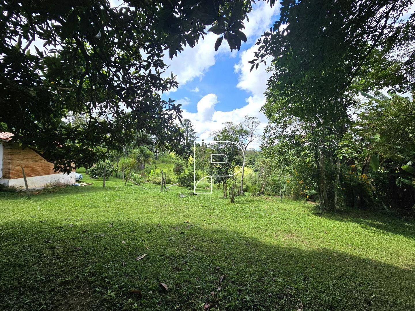 Terreno, 4 hectares - Foto 18