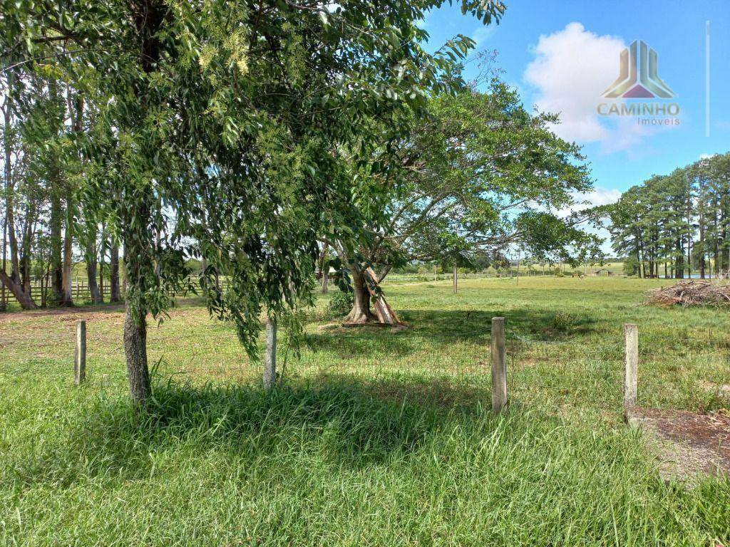 Fazenda à venda, 600000M2 - Foto 4