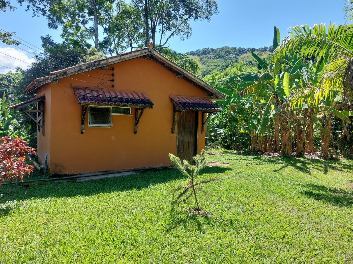 Sítio à venda com 7 quartos, 14m² - Foto 13