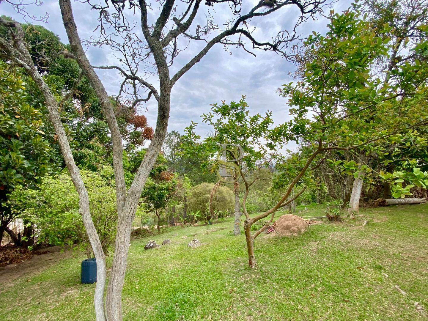 Chácara, 3 quartos, 6050 m² - Foto 23