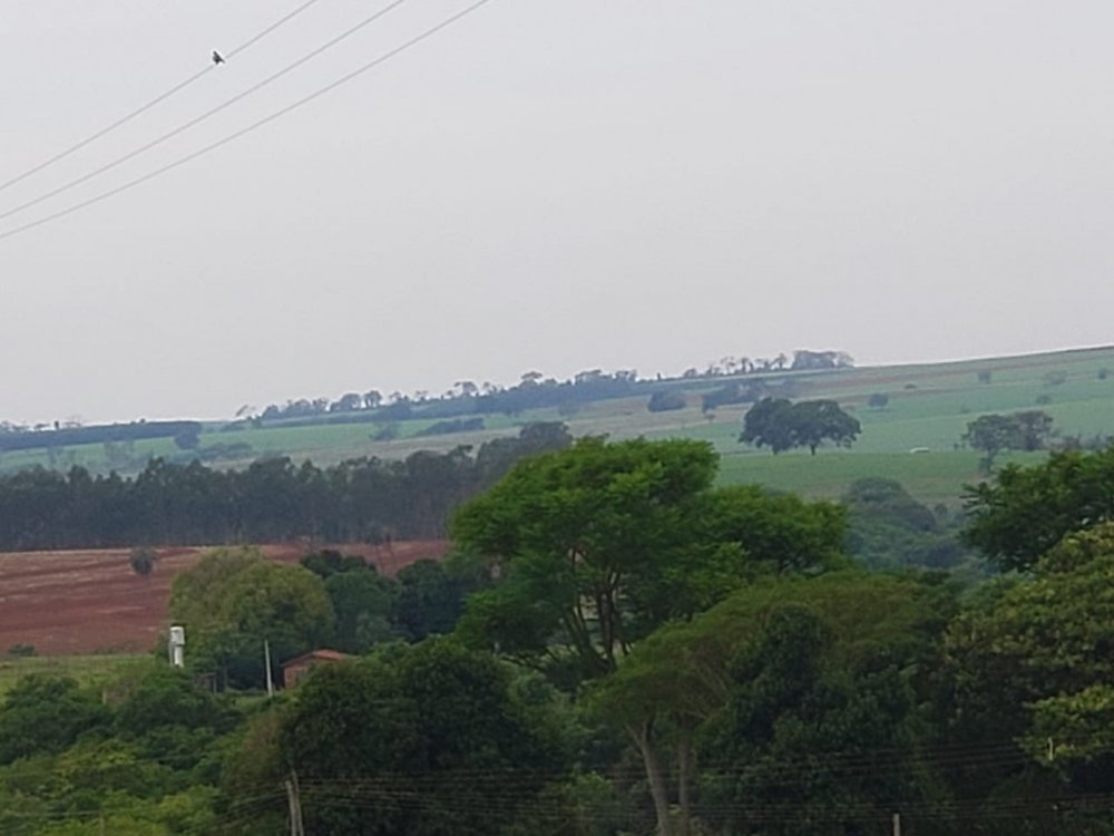 Fazenda, 53 hectares - Foto 10
