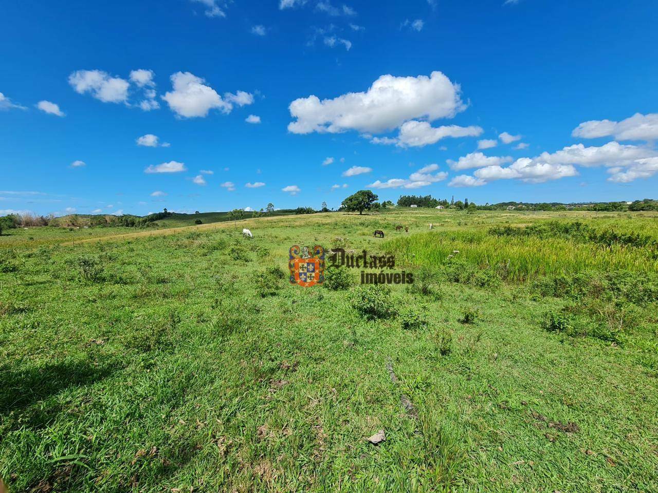 Fazenda à venda, 1258400M2 - Foto 57