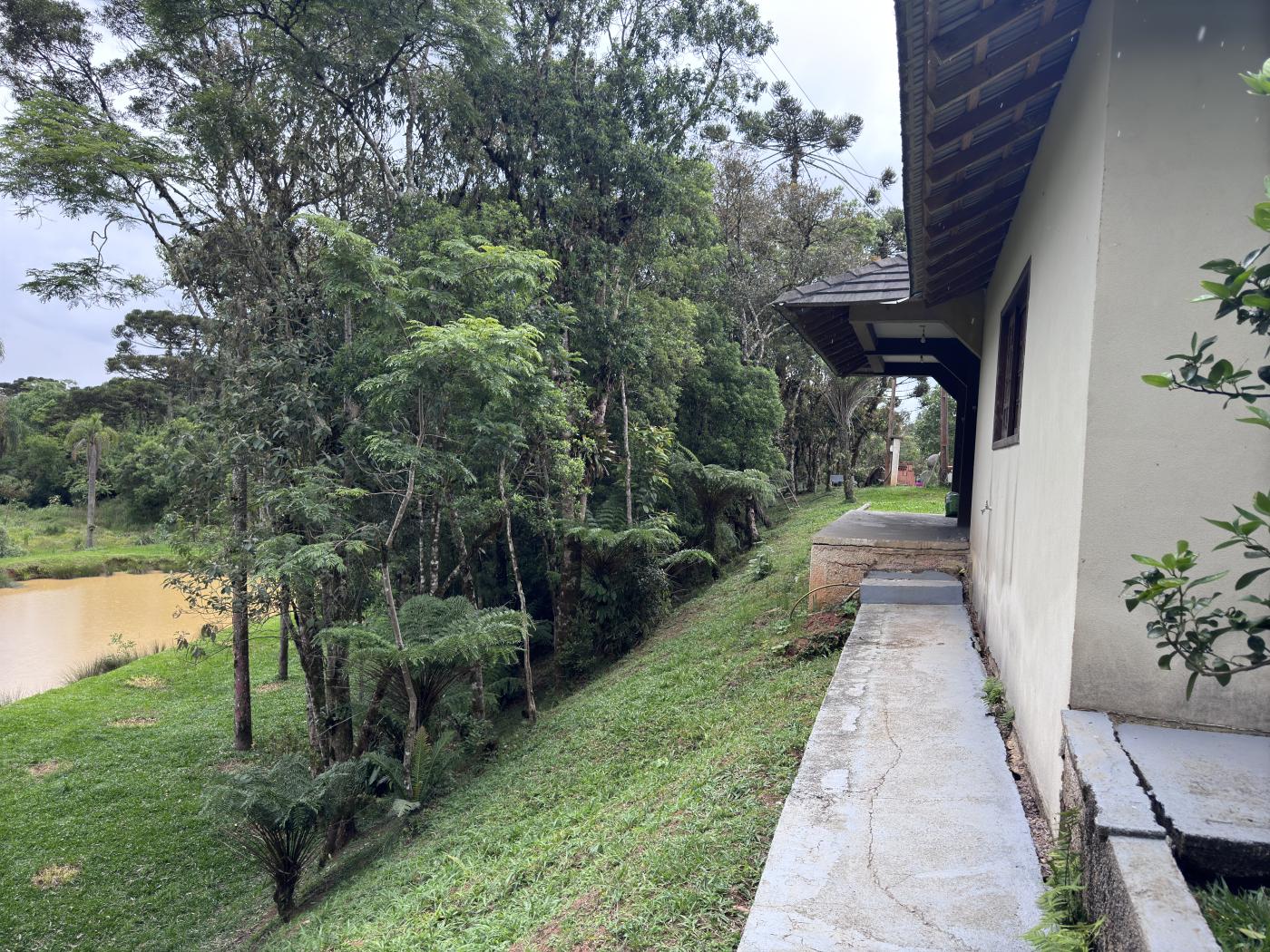 Chácara à venda com 4 quartos, 15000m² - Foto 42