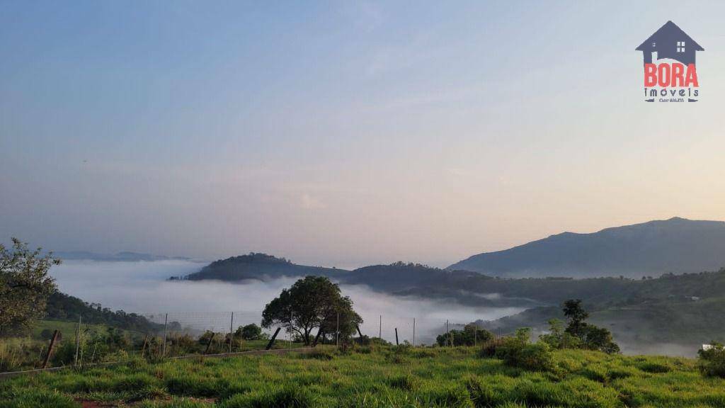 Chácara à venda com 4 quartos, 60000M2 - Foto 11