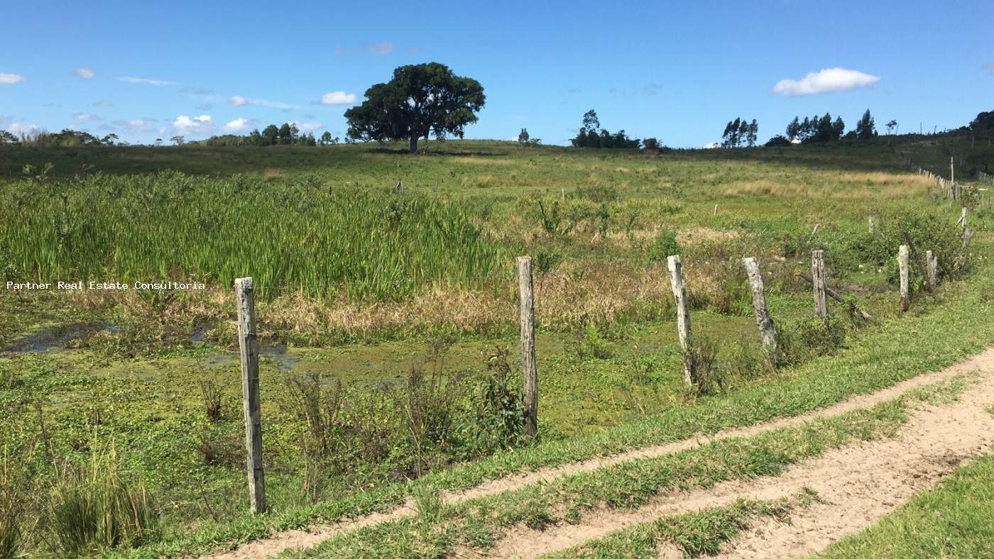 Fazenda à venda com 3 quartos, 52m² - Foto 7