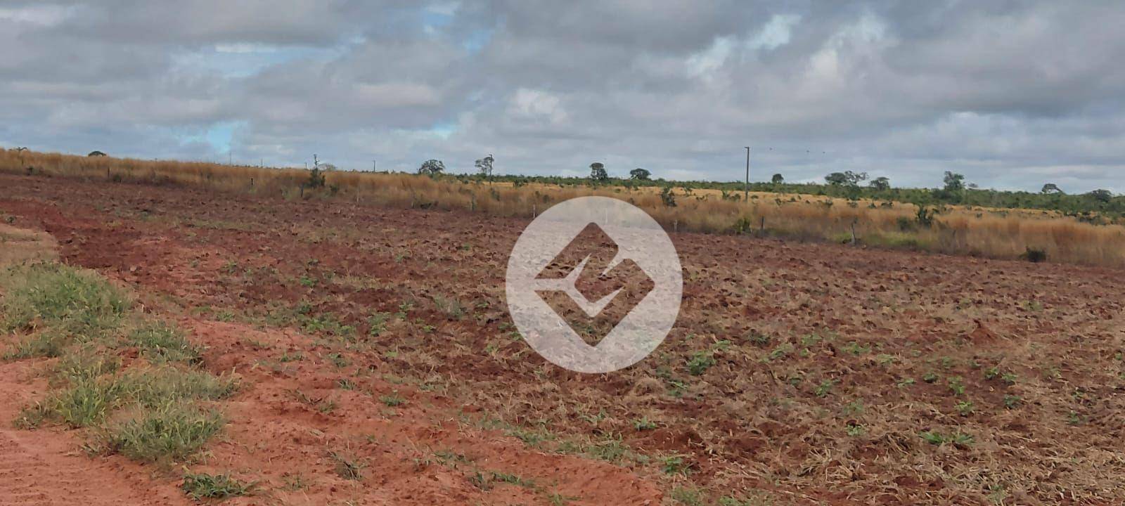Fazenda à venda, 2500000M2 - Foto 2