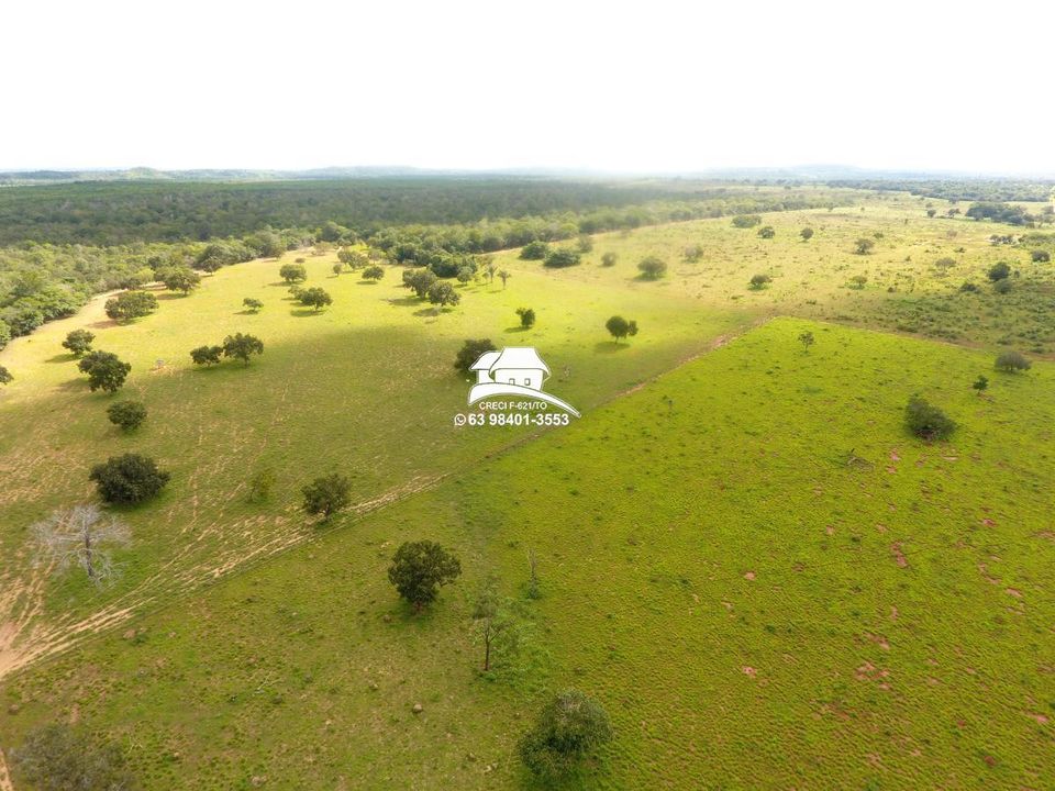 Fazenda à venda, 1930000m² - Foto 11