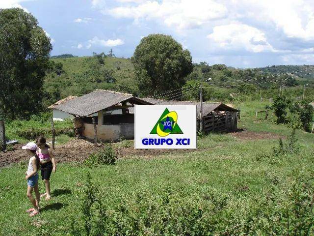 Fazenda à venda com 4 quartos, 580000M2 - Foto 4