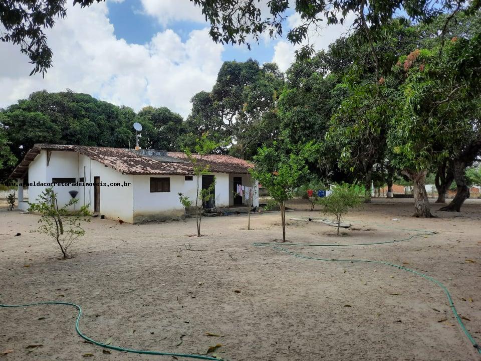 Fazenda à venda com 2 quartos, 14m² - Foto 9