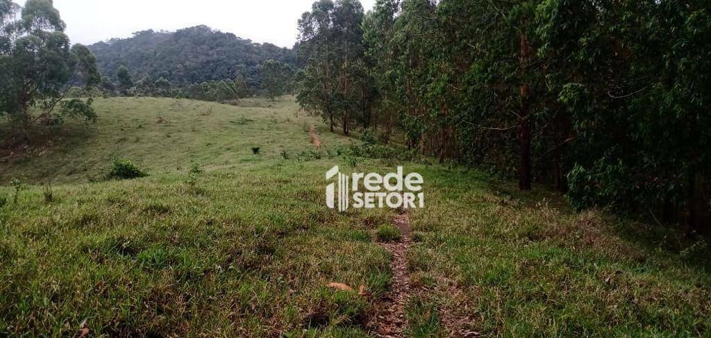 Fazenda à venda com 3 quartos, 1110000M2 - Foto 64