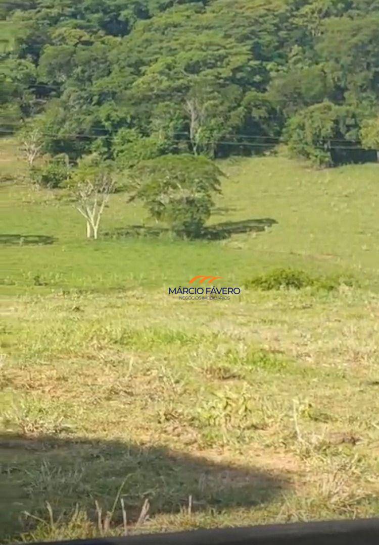 Fazenda, 307 hectares - Foto 9