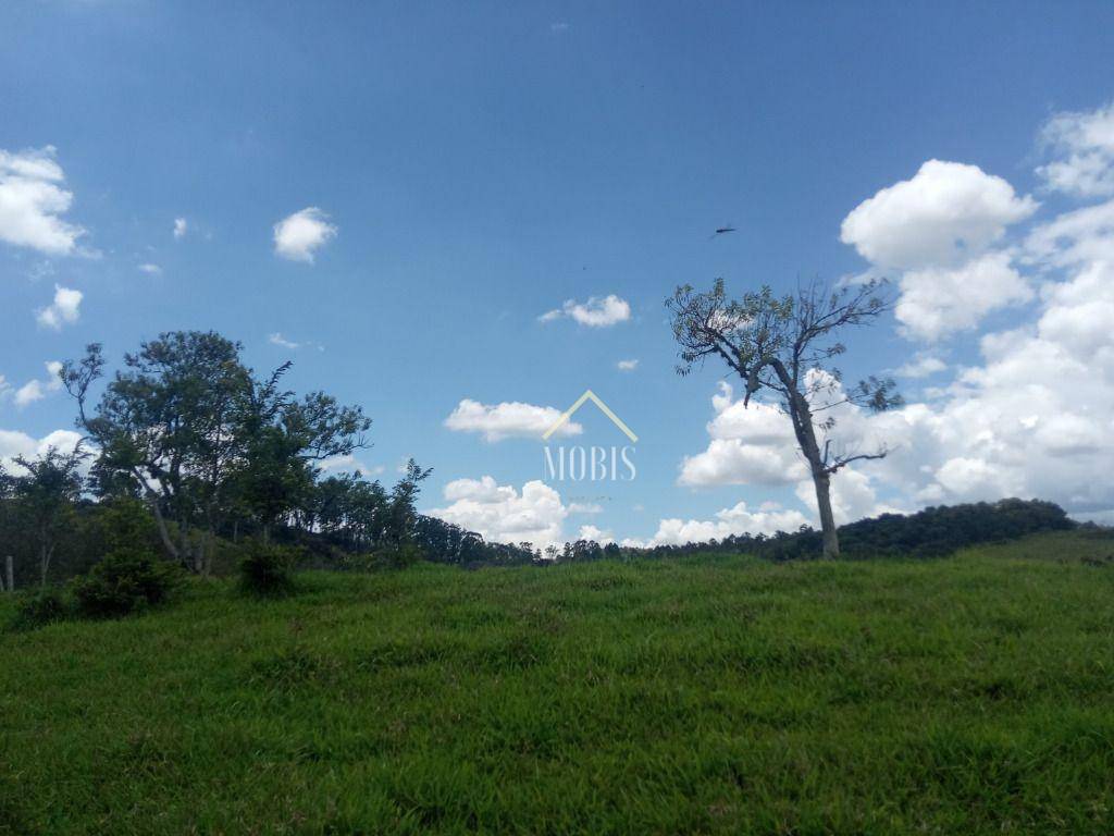 Sítio, 1 quarto, 6 hectares - Foto 1