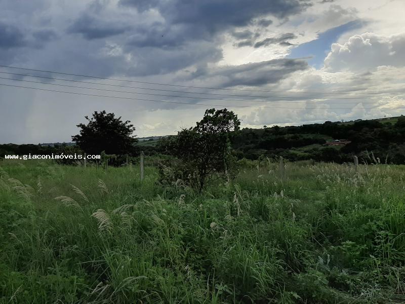 Fazenda à venda com 2 quartos, 22900m² - Foto 22