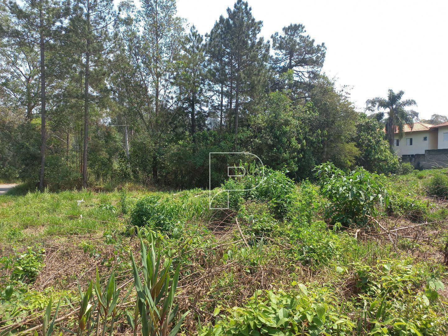 Terreno à venda, 3045M2 - Foto 11