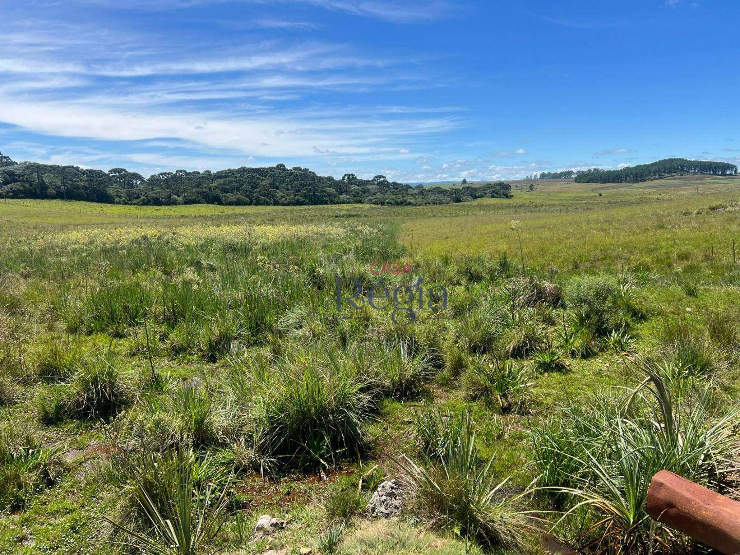 Sítio à venda, 150000M2 - Foto 16