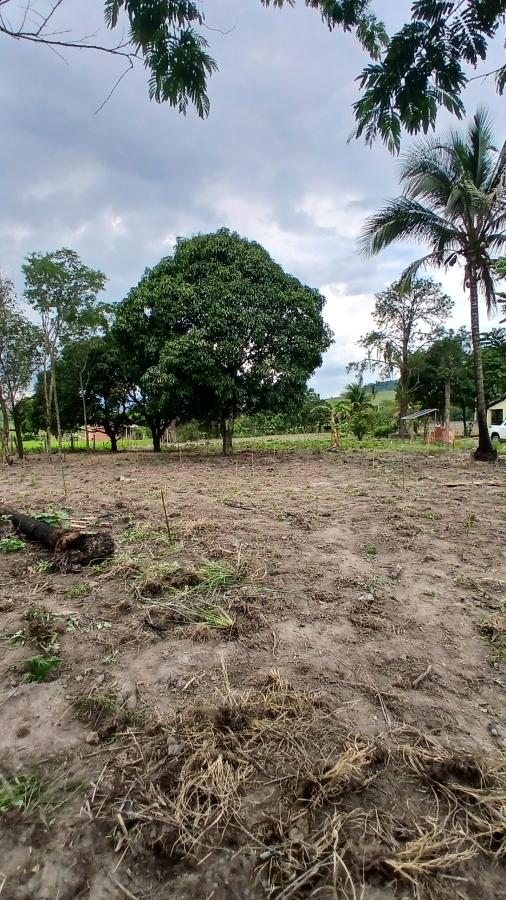 Fazenda à venda com 2 quartos, 31000m² - Foto 18