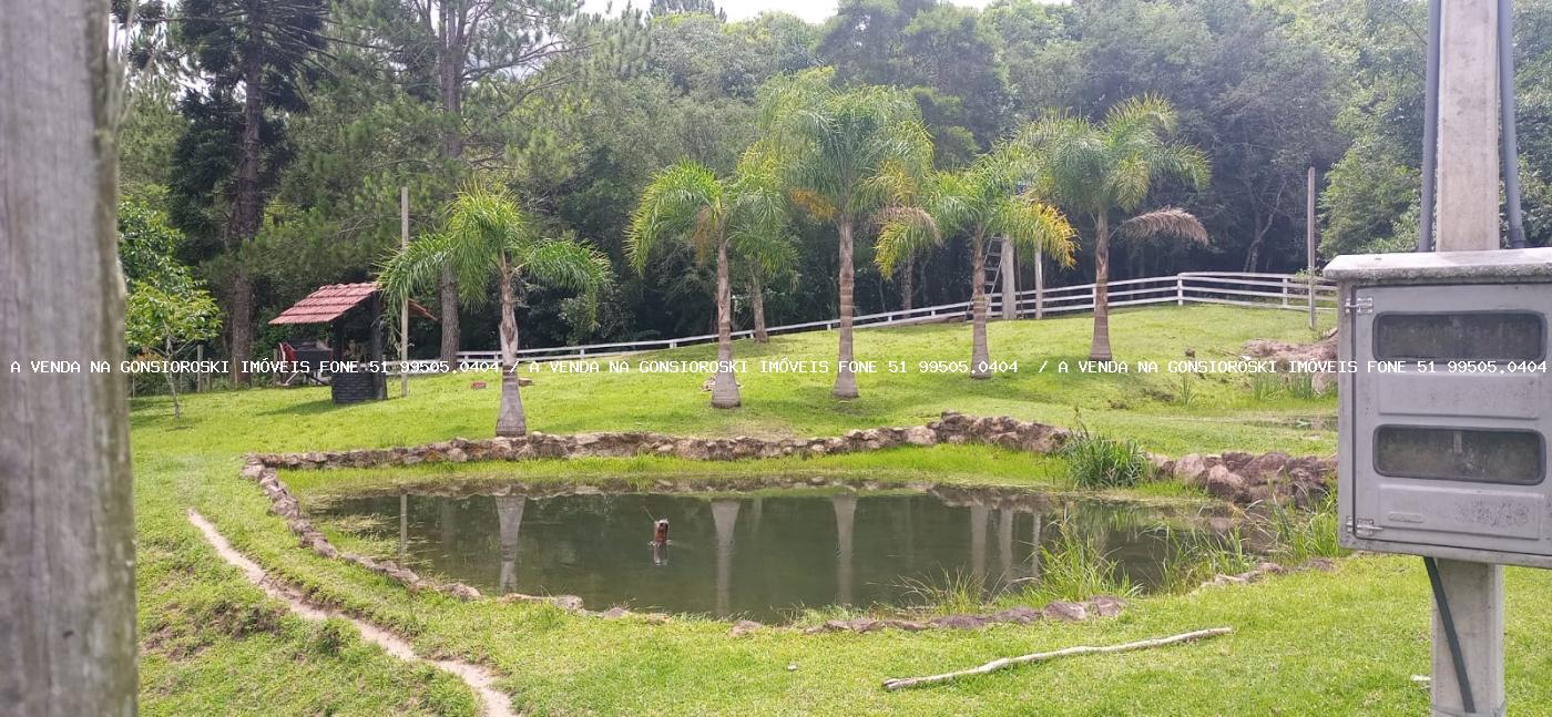 Chácara à venda com 4 quartos, 130000m² - Foto 12