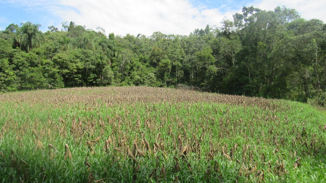 Loteamento e Condomínio à venda, 120000m² - Foto 21