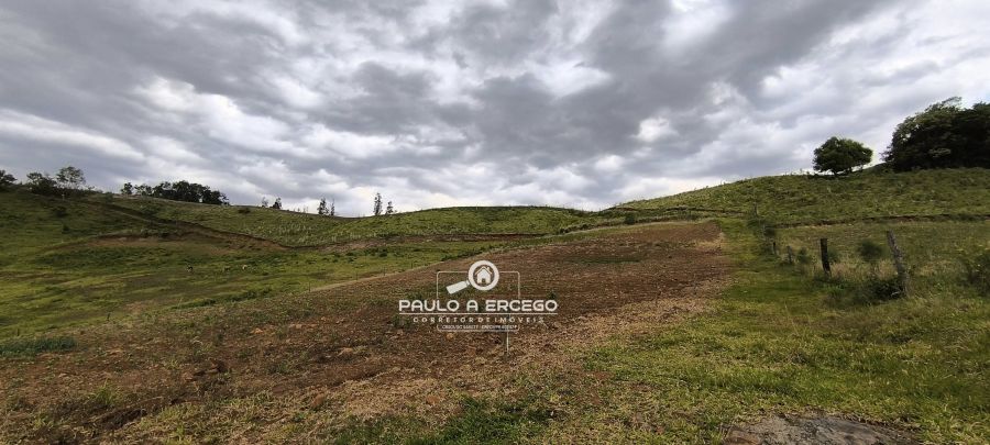 Sítio, 7 hectares - Foto 4