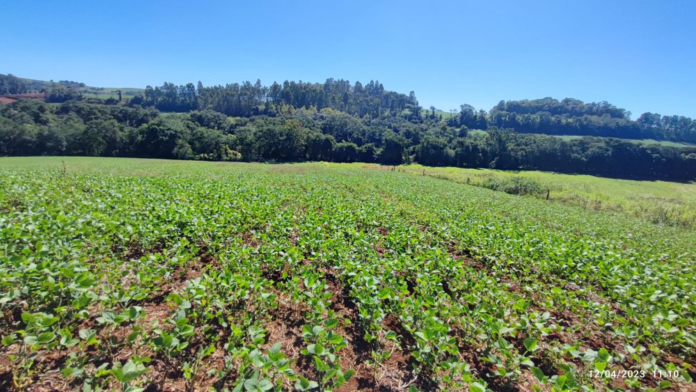 Fazenda à venda, 12m² - Foto 17