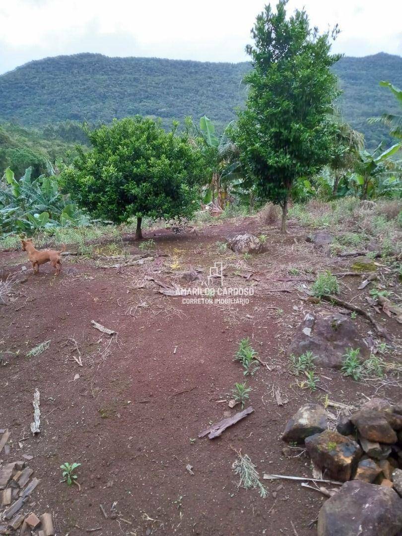Chácara à venda com 3 quartos, 25000M2 - Foto 18