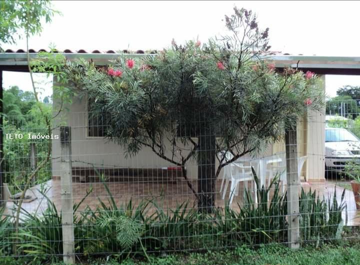 Fazenda à venda com 3 quartos, 300m² - Foto 6