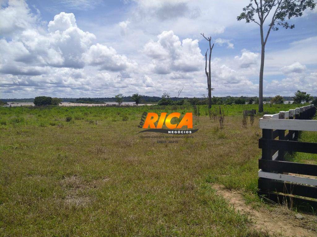 Sítio, 3 quartos, 48 hectares - Foto 2