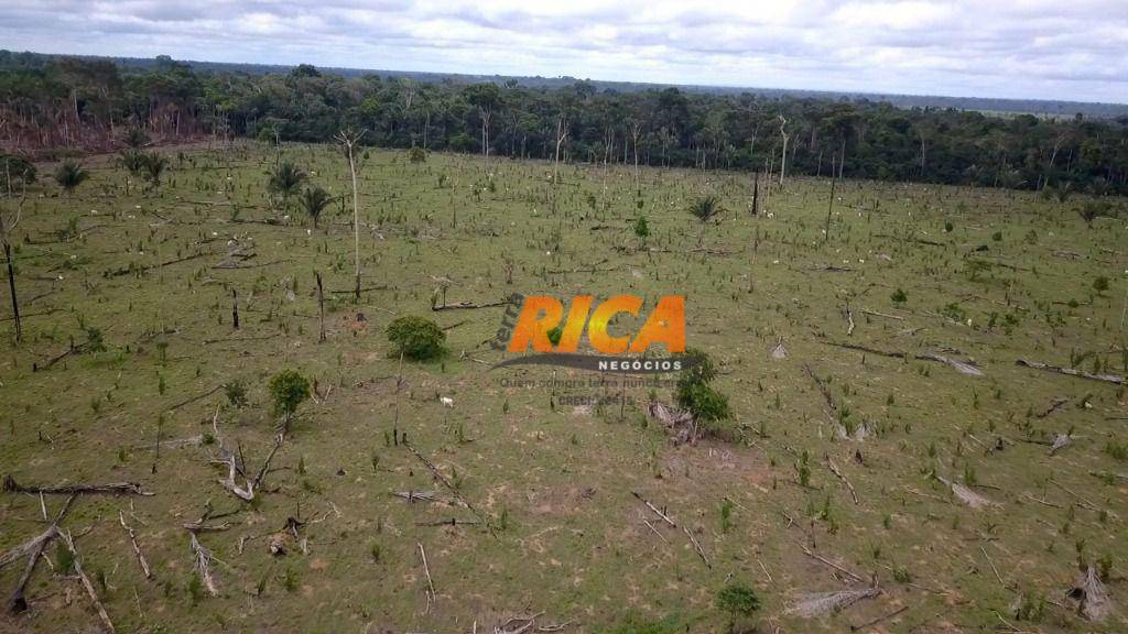 Fazenda à venda, 1010000M2 - Foto 6