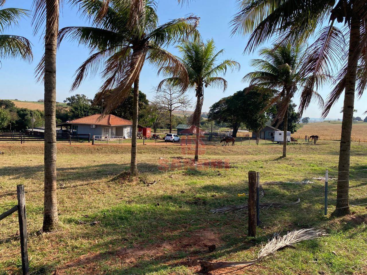 Sítio, 2 hectares - Foto 23