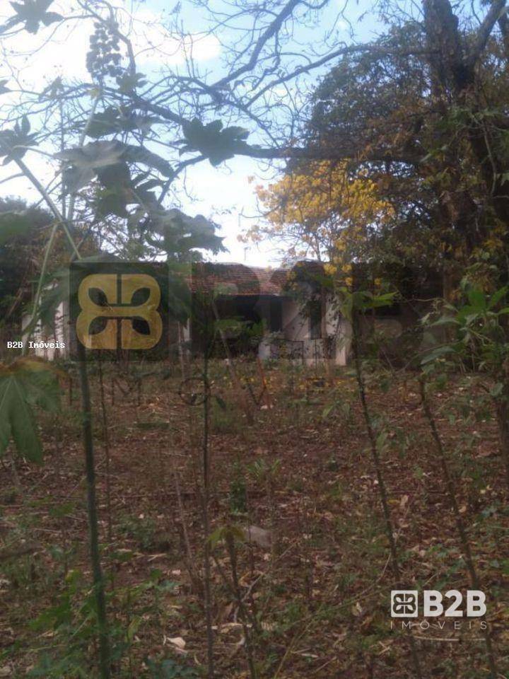 Casa à venda com 2 quartos, 2000M2 - Foto 6