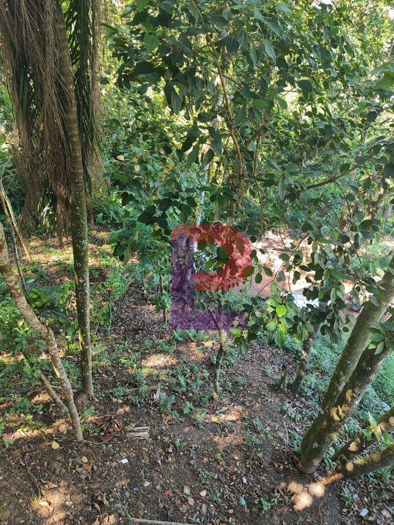 Casa, 1 quarto, 50 m² - Foto 3