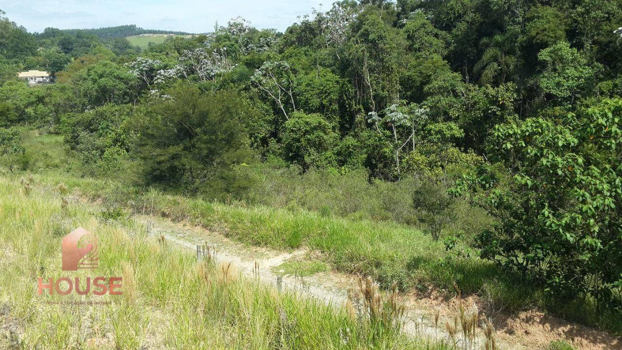 Terreno, 2 hectares - Foto 3