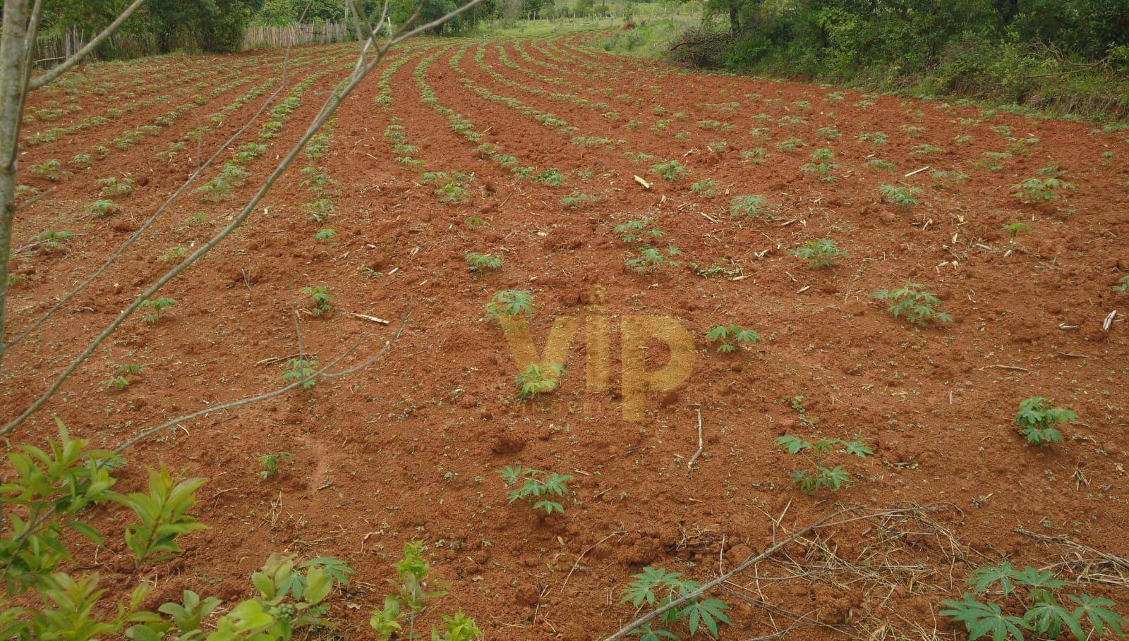 Terreno à venda, 800M2 - Foto 1