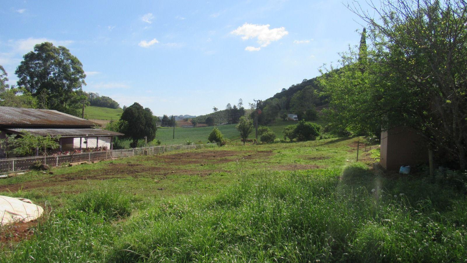 Fazenda à venda, 133000m² - Foto 28