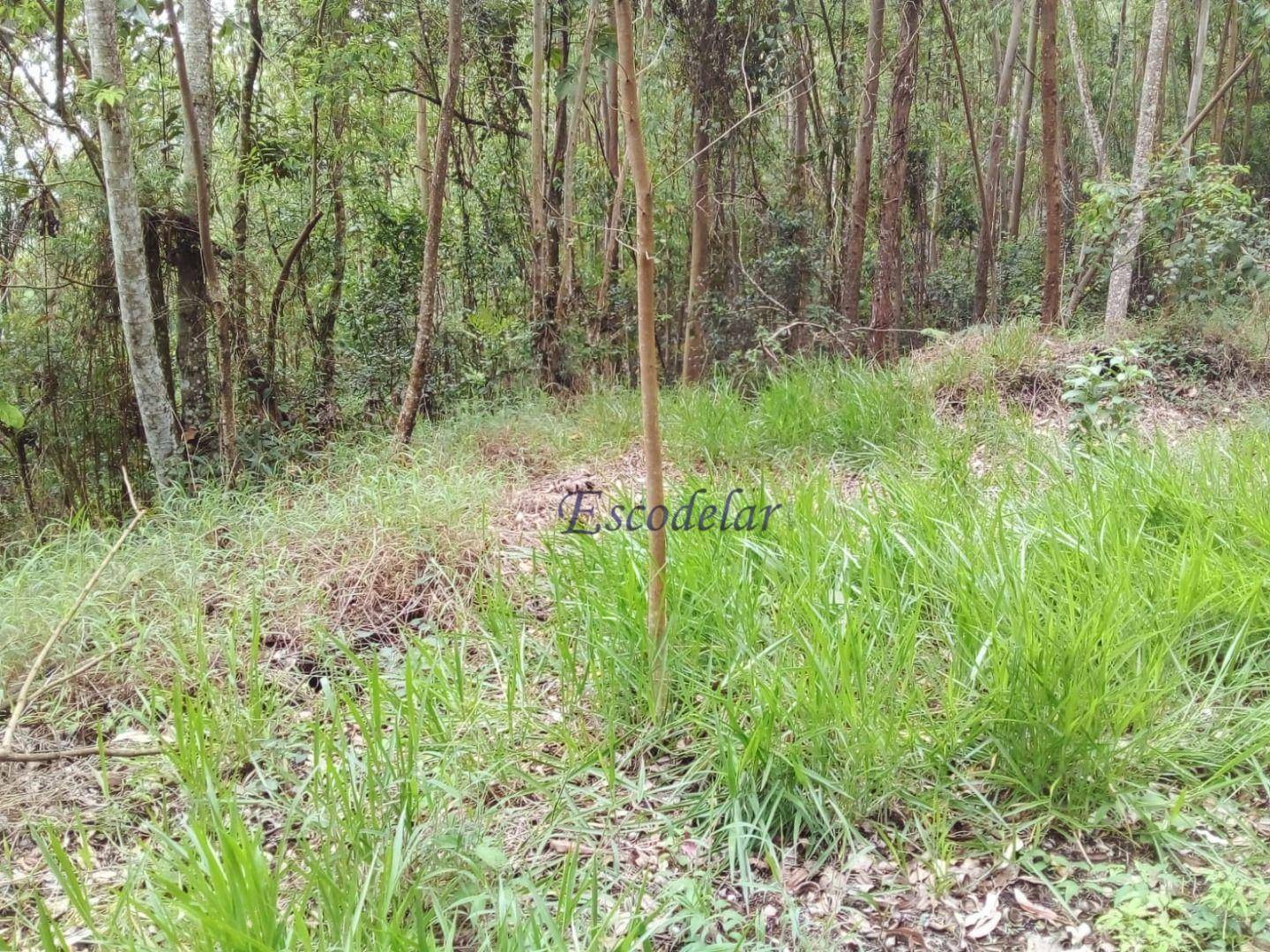 Terreno à venda, 7600M2 - Foto 2