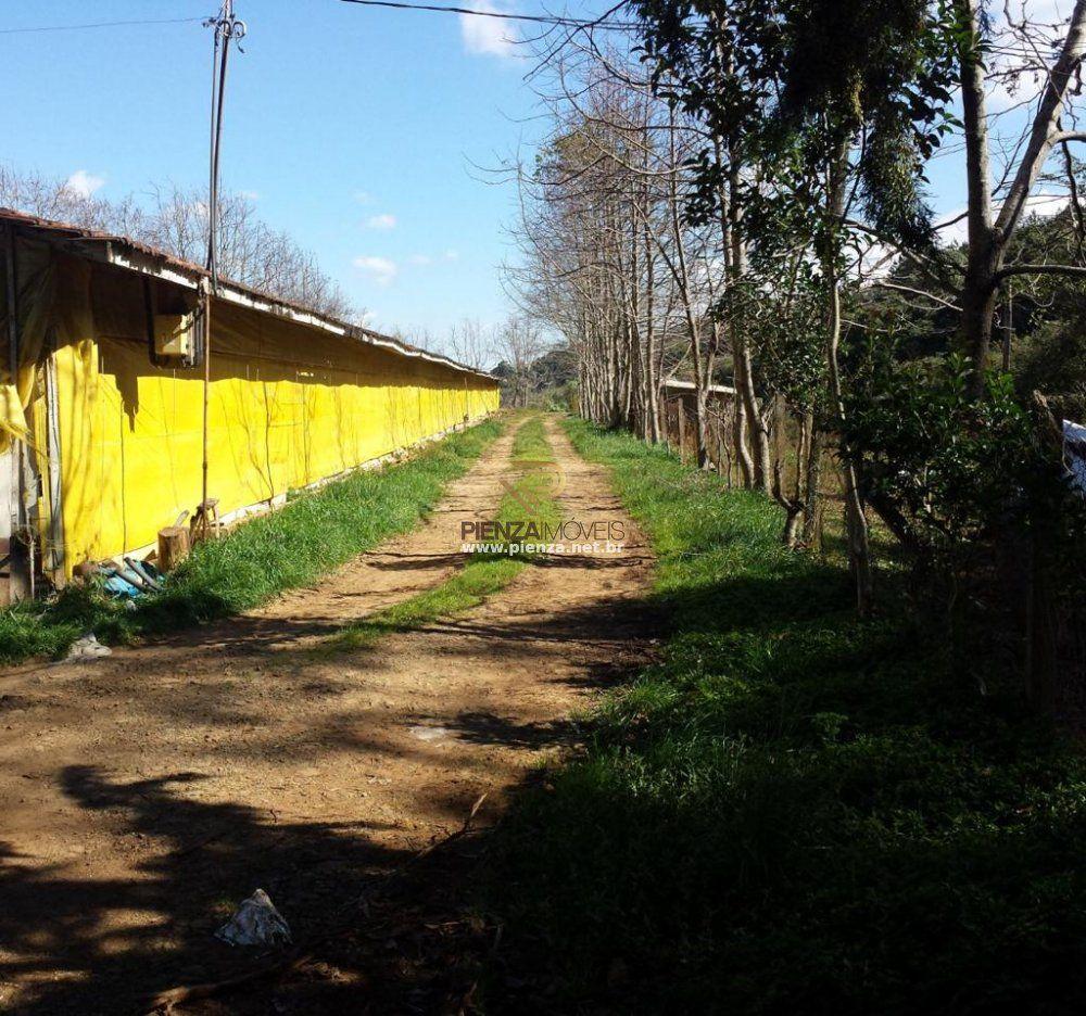 Fazenda à venda, 70000m² - Foto 11