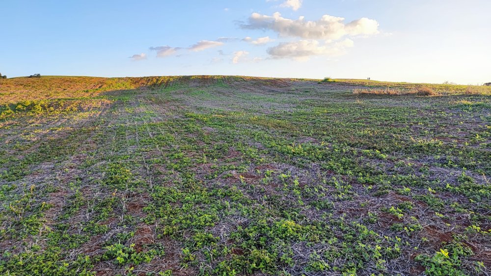 Fazenda à venda, 13m² - Foto 11