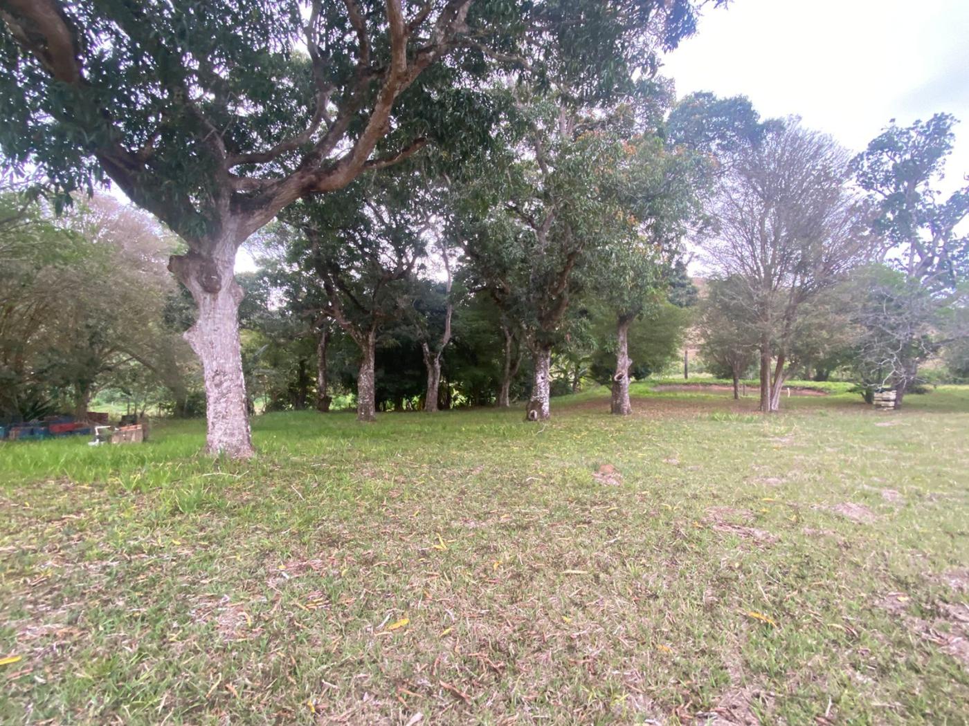 Sítio à venda com 5 quartos, 170000m² - Foto 23