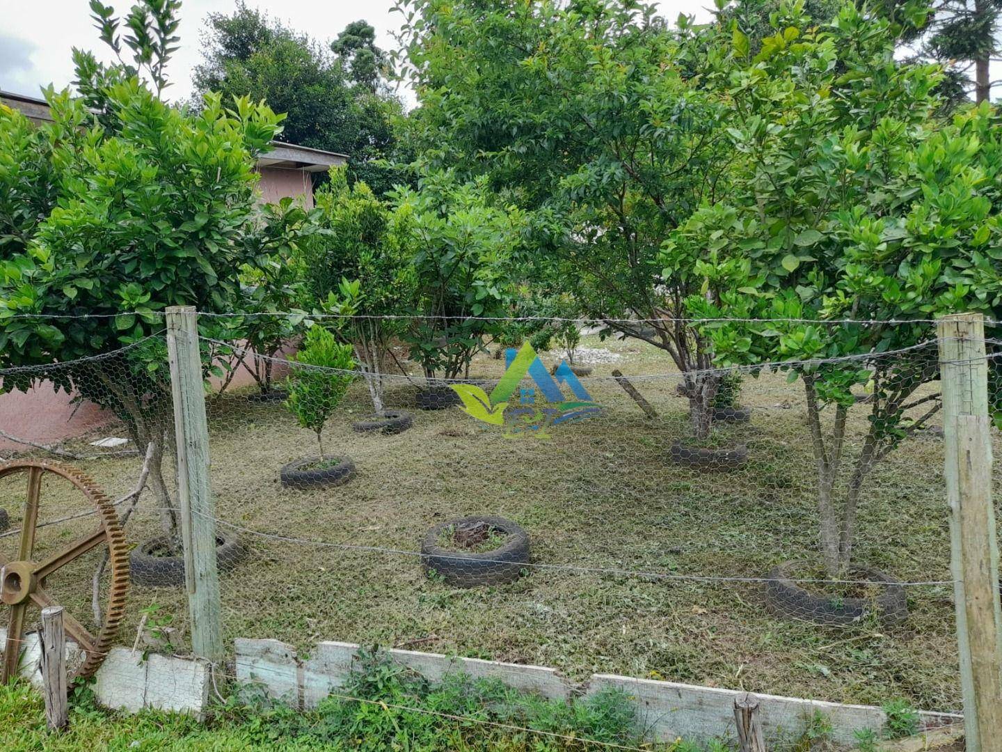 Sítio à venda, 140m² - Foto 28