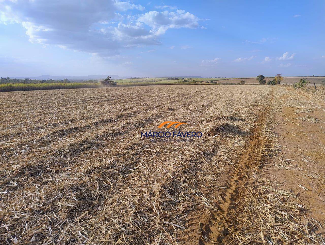 Fazenda, 692 hectares - Foto 1