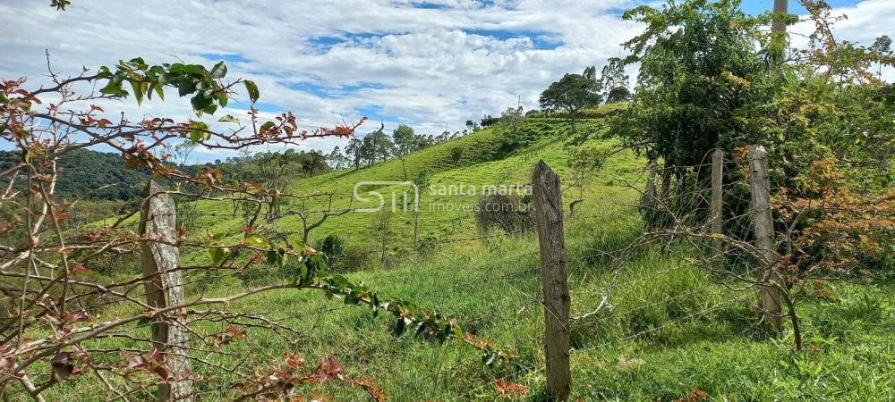 Fazenda à venda com 1 quarto, 150m² - Foto 14