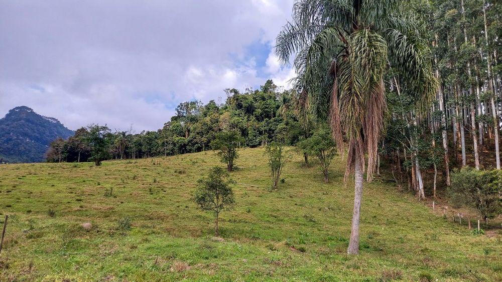 Fazenda à venda, 23900m² - Foto 12